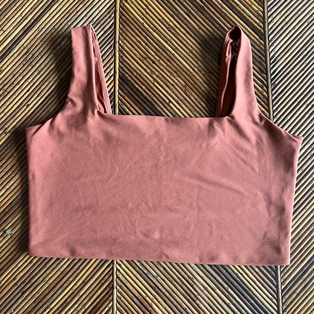 Terracotta A&F Curve Sports BrA